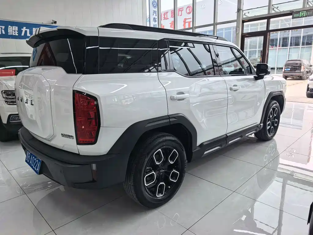 Haval Cool Dog — миниатюра 4