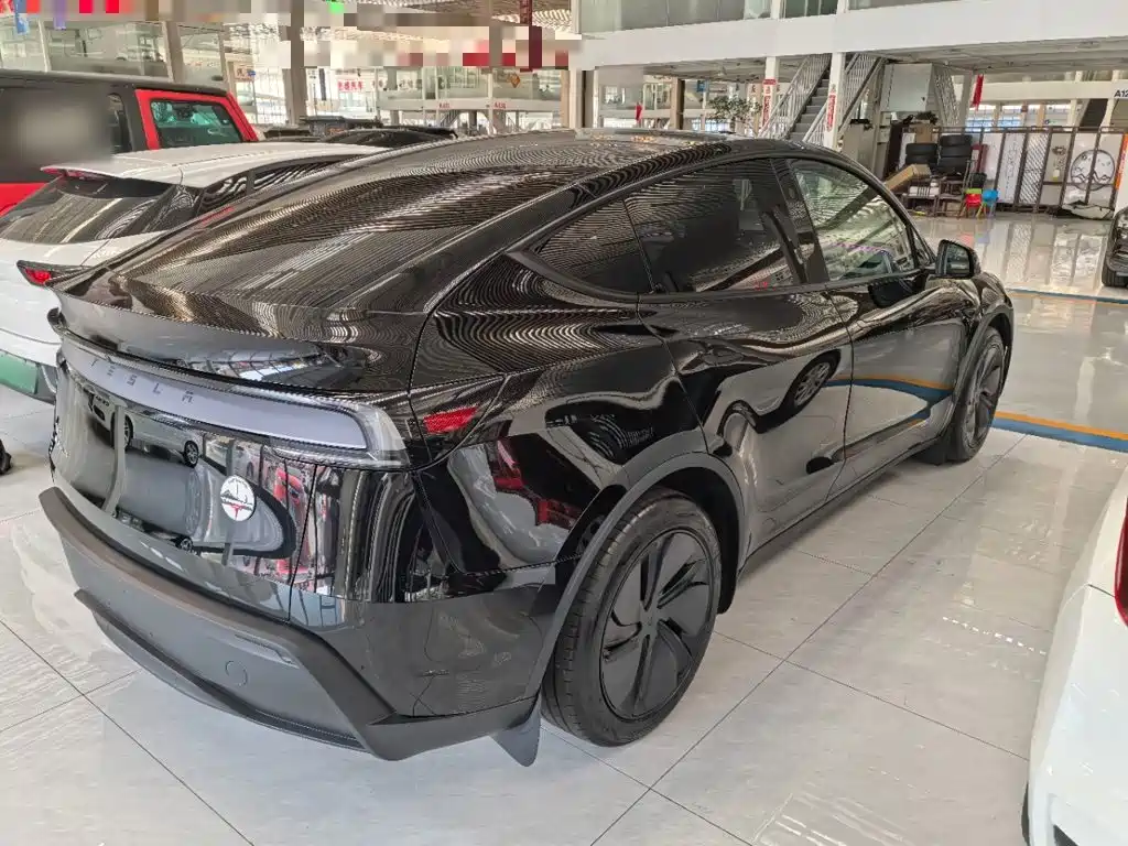 Tesla Model Y — миниатюра 7