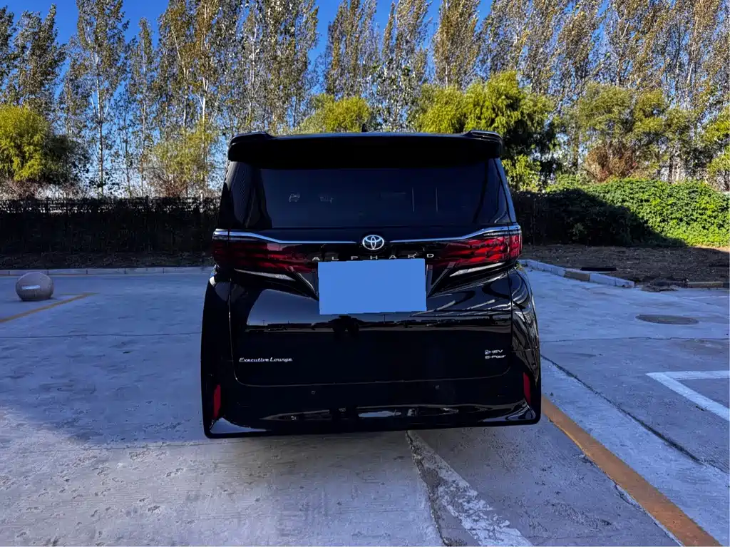 Toyota Alphard — миниатюра 18