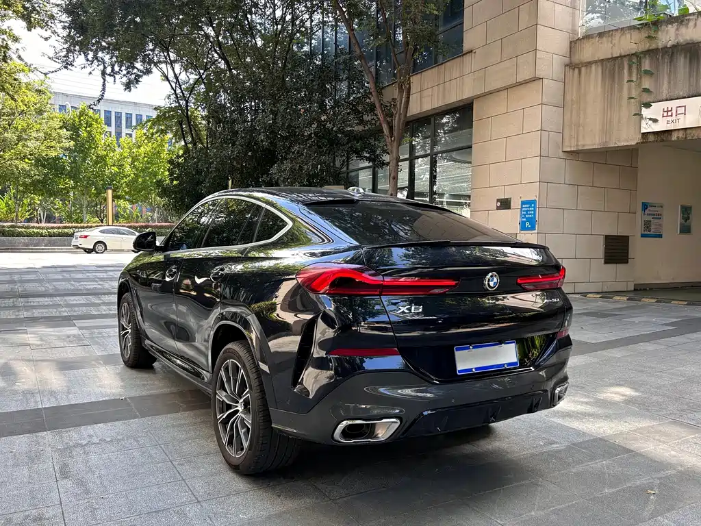 BMW X6 — миниатюра 13