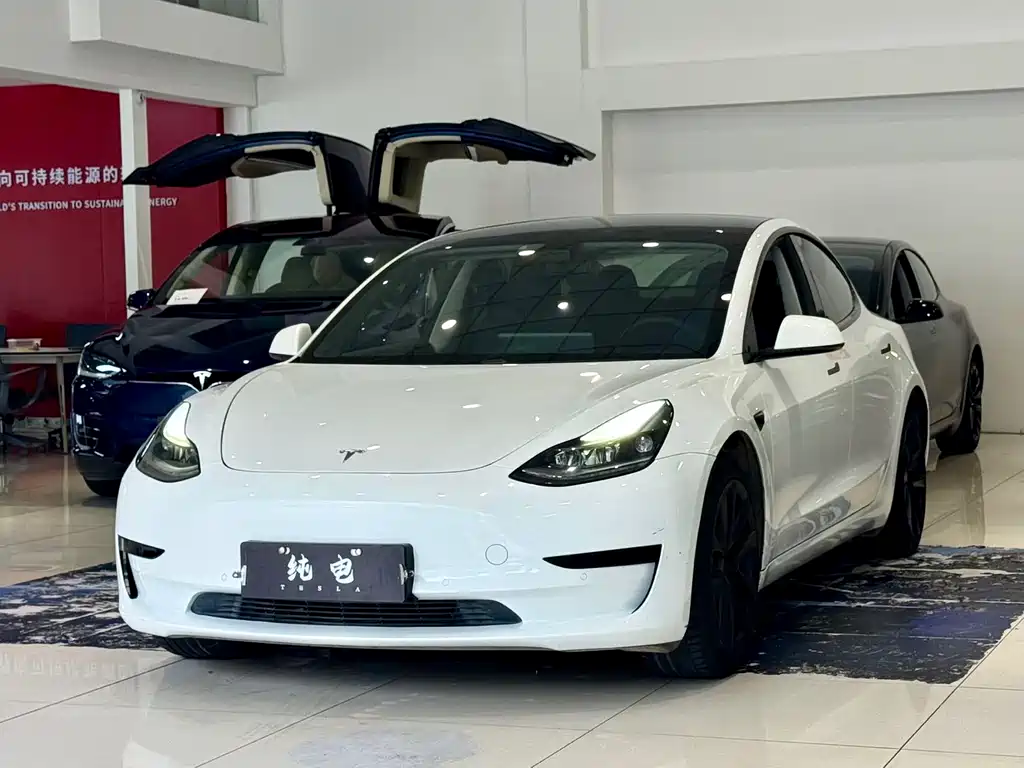 Tesla Model 3 2021