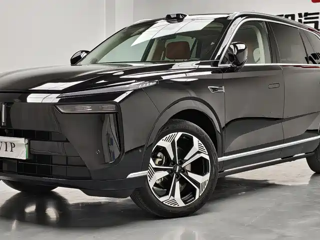 WEI PAI WEI BRAND BLUE MOUNTAIN 2024