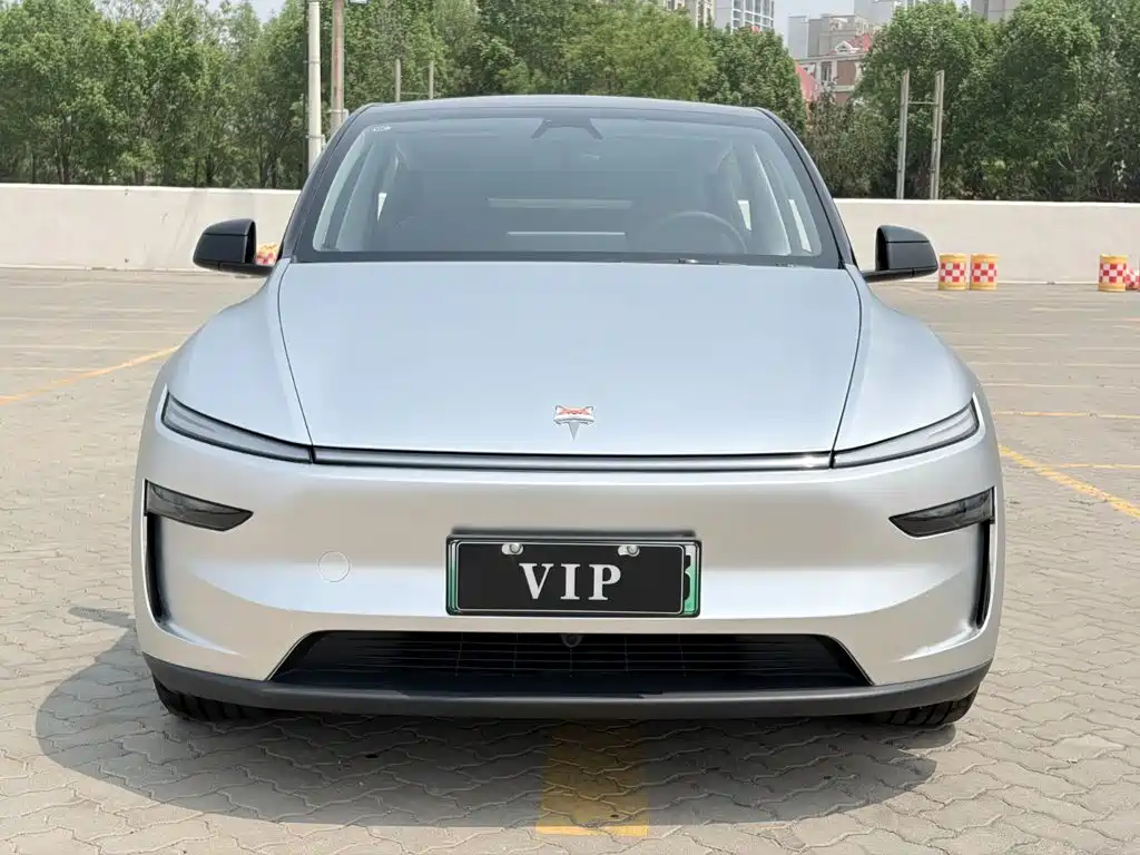 Tesla Model Y — миниатюра 3