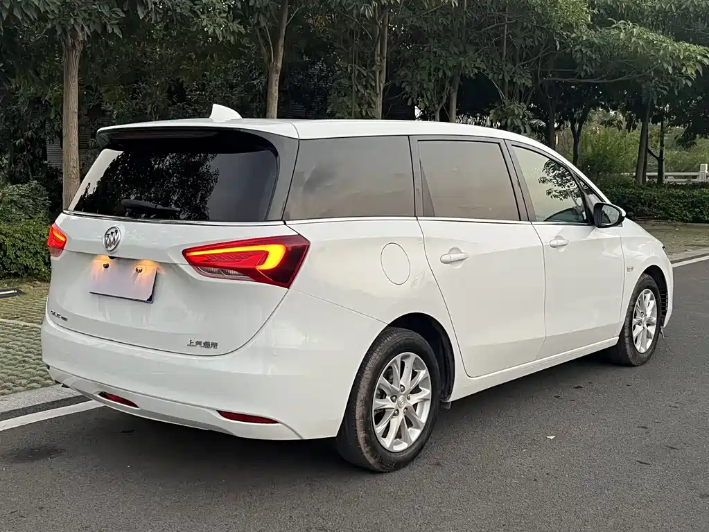 Buick GL6 18T 6 seats Elite Type, фото 6