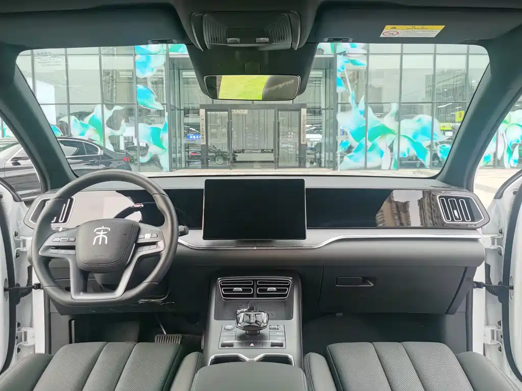 BYD Pro New Energy — миниатюра 9