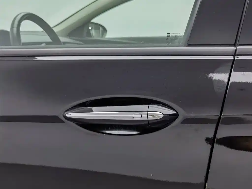 Buick Regal — миниатюра 18