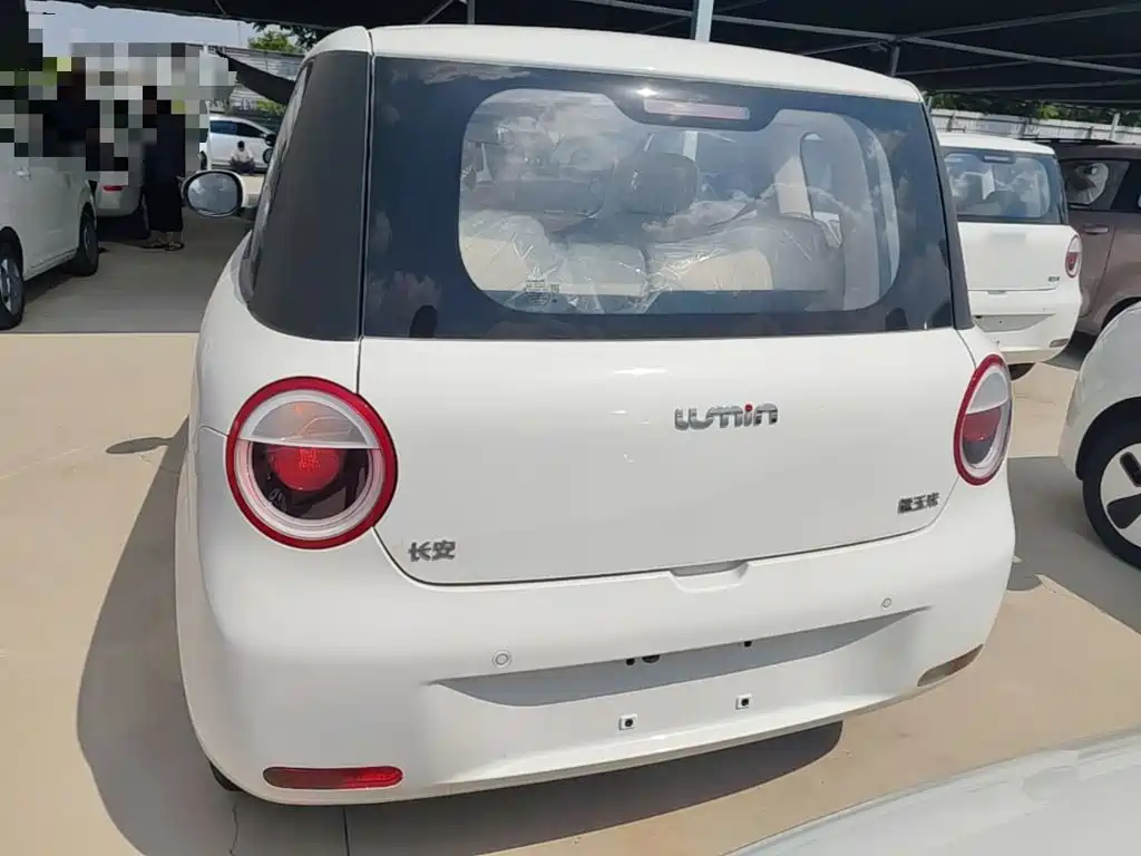 Qiyuan Lumin — миниатюра 6