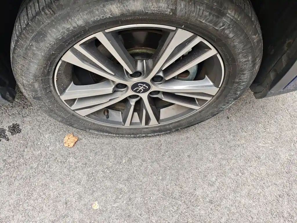BYD Pro New Energy — миниатюра 26