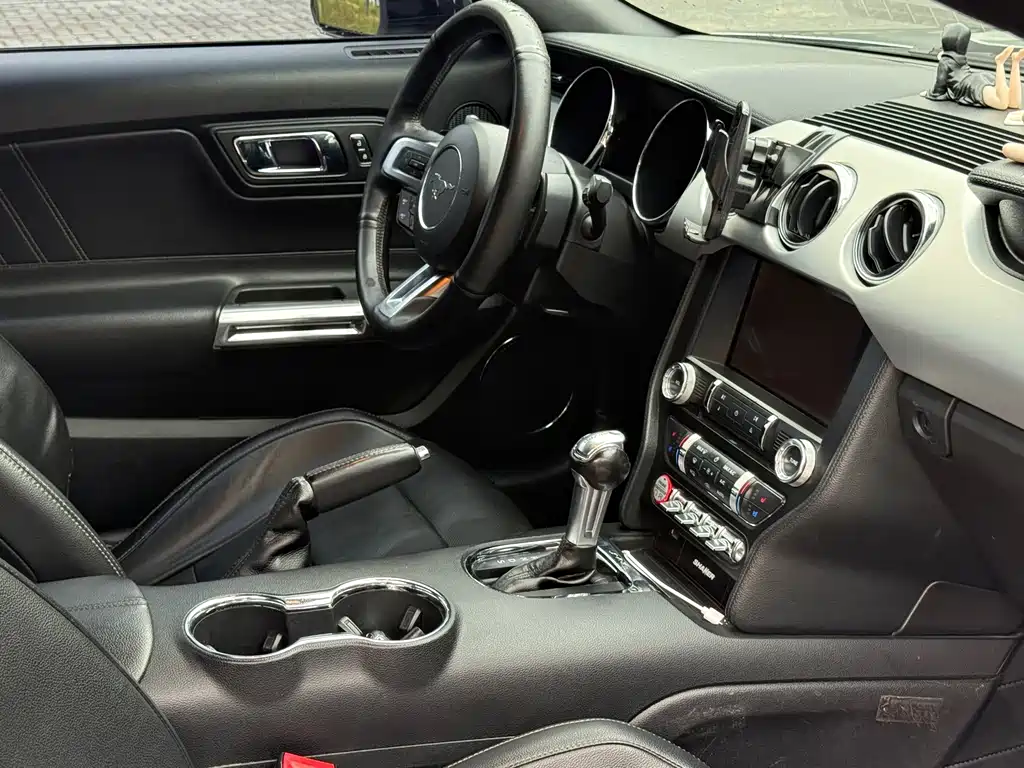 Ford Mustang — миниатюра 13