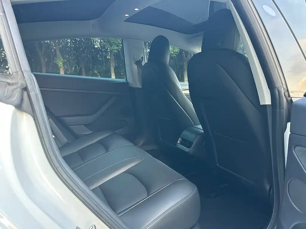 Tesla Model 3 — миниатюра 17