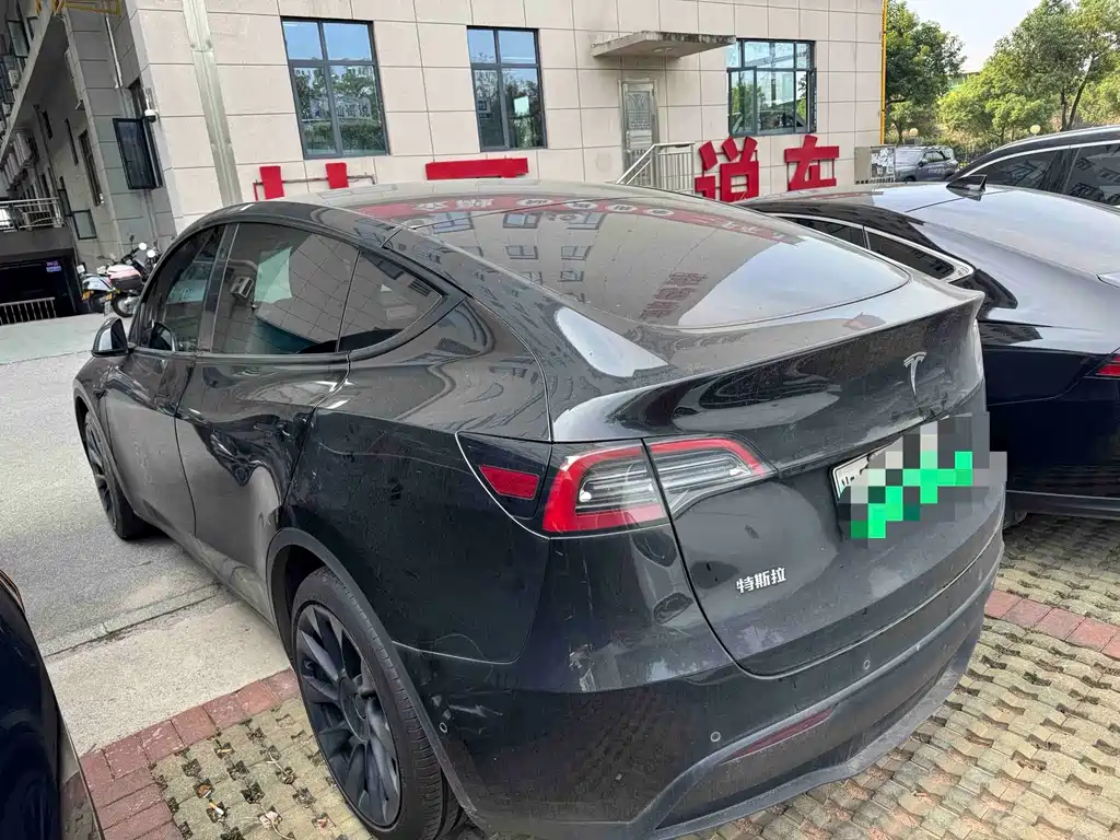 Tesla Model Y — миниатюра 2