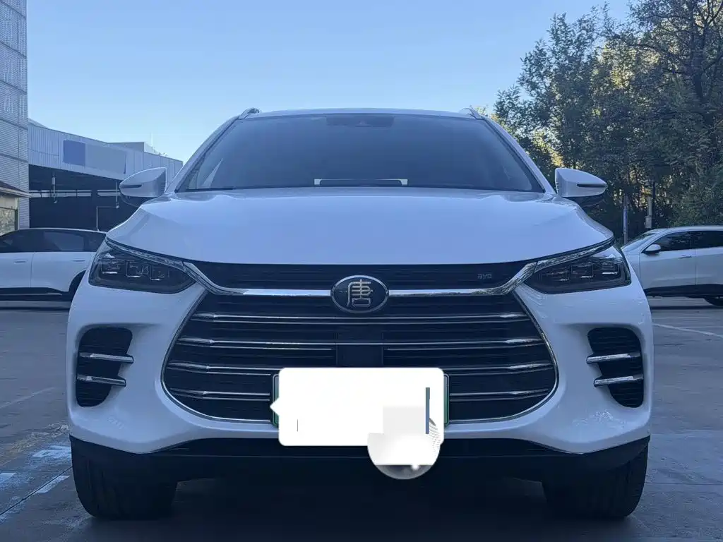 BYD Tang New Energy — миниатюра 2