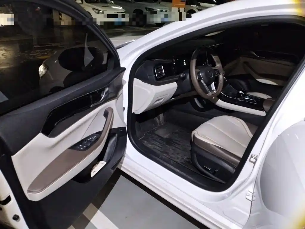 BYD Qin PLUS — миниатюра 12