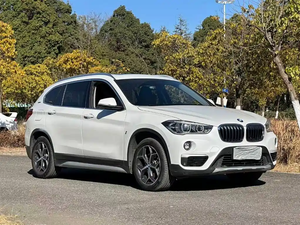 BMW X1 NEW ENERGY