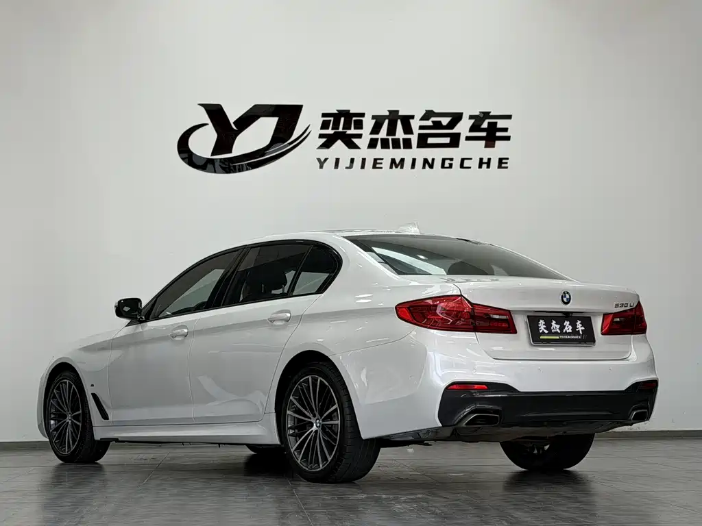 BMW 5 Series 5 2019 530Li Premium M Sport
