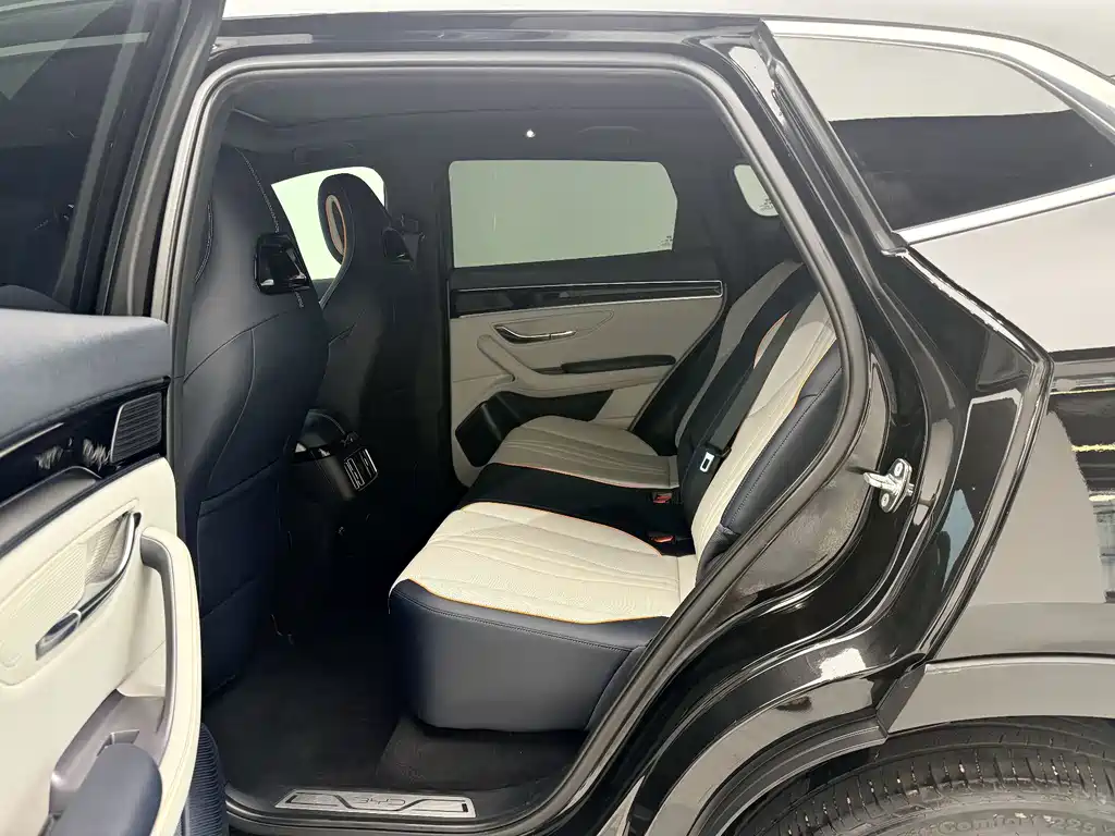 BYD PLUS New Energy — миниатюра 5