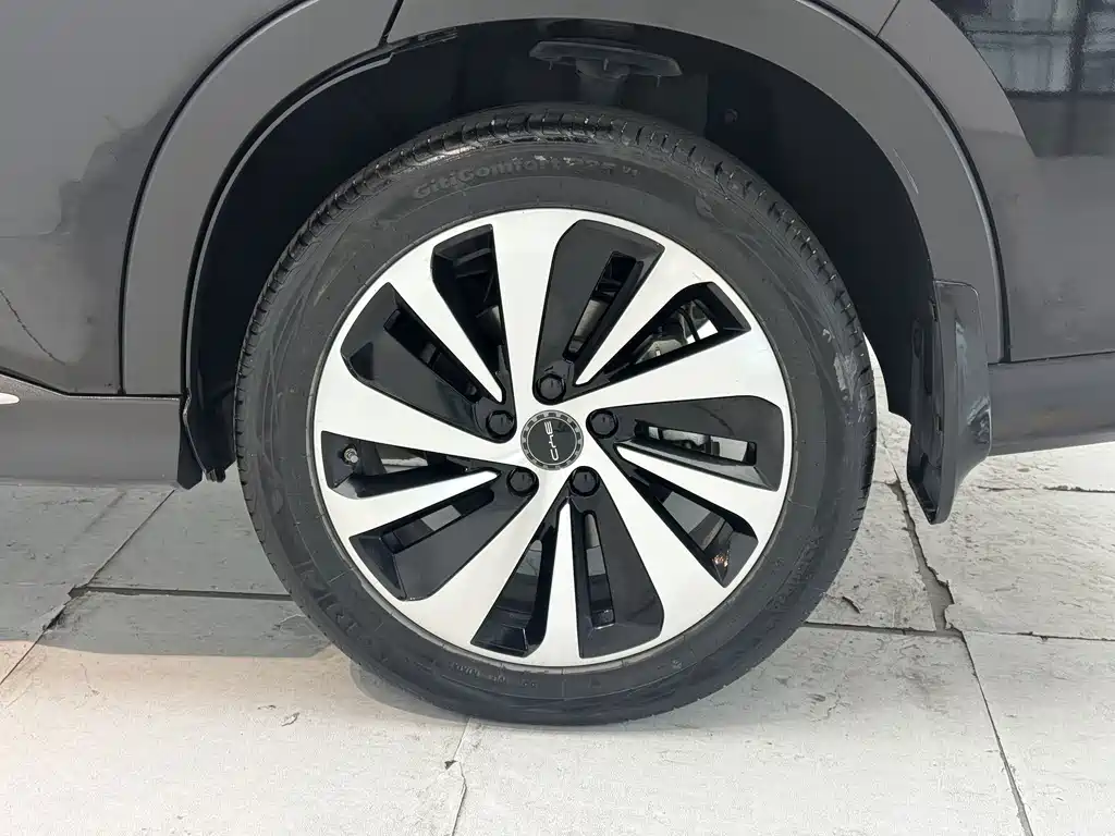 BYD PLUS New Energy — миниатюра 7