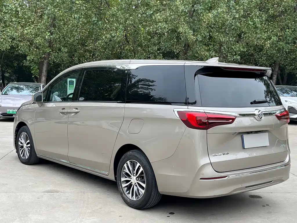 Buick GL8 — миниатюра 7