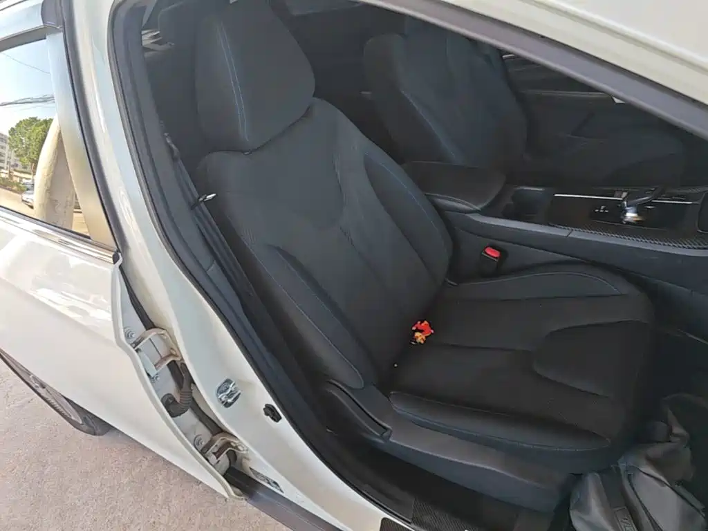 Venucia D60 EV — миниатюра 25