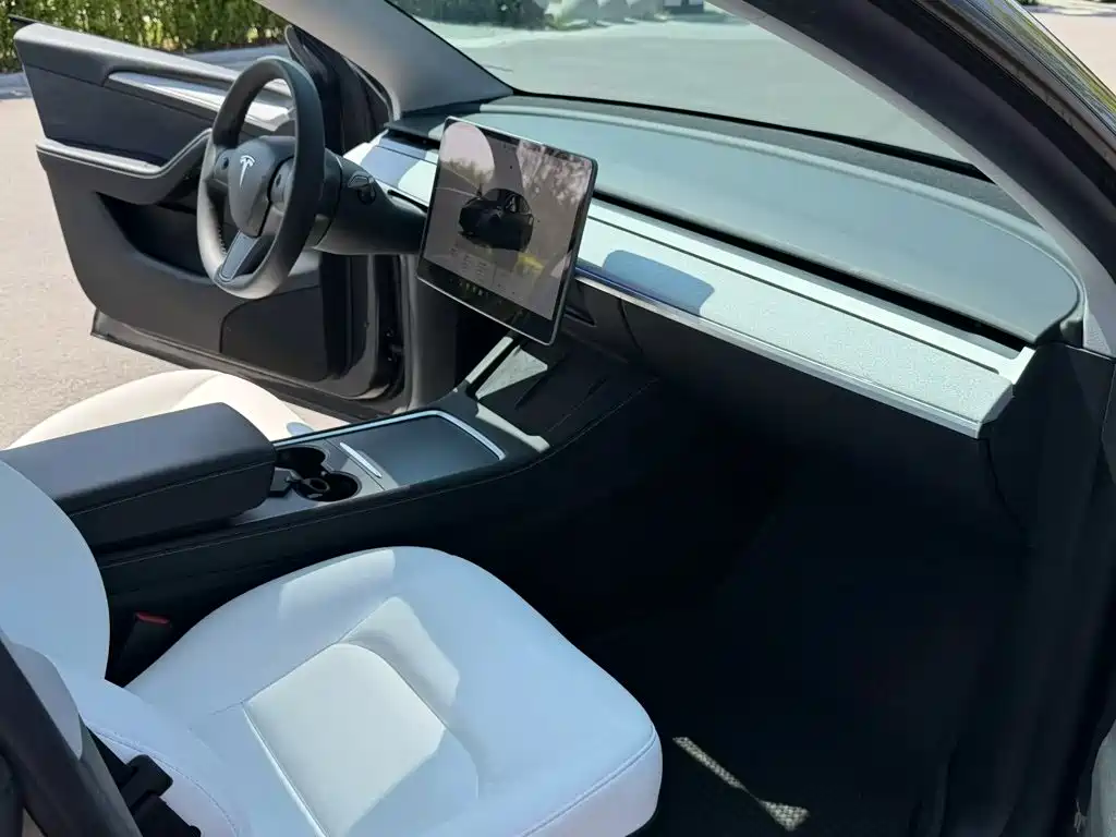 Tesla Model Y — миниатюра 6