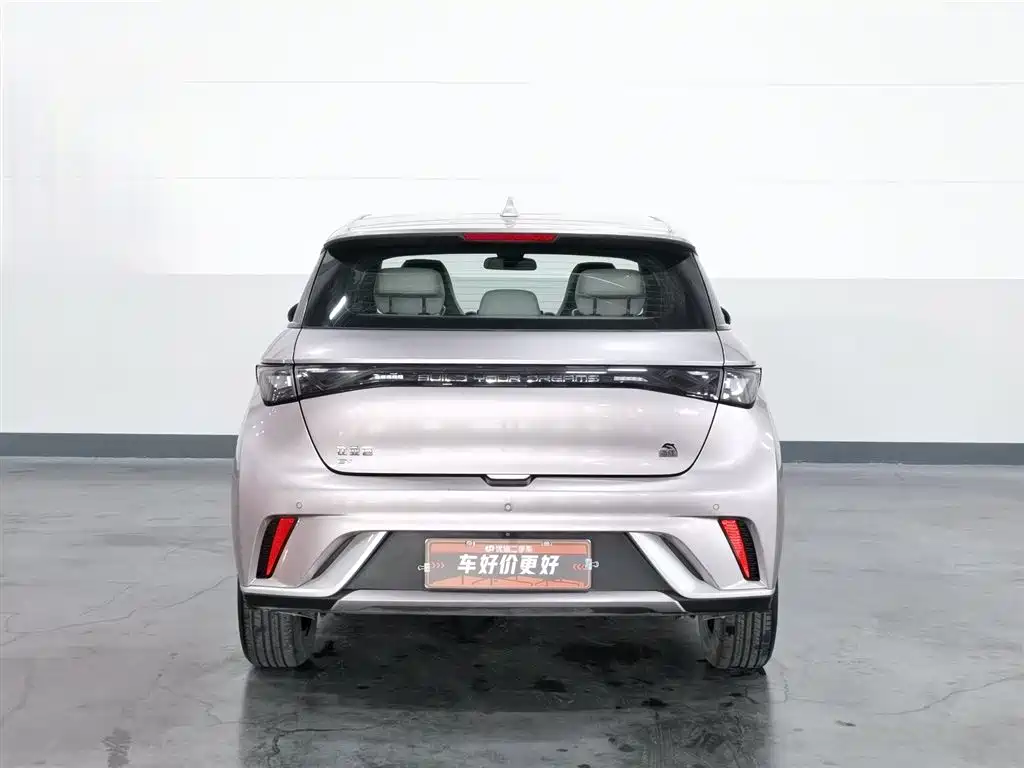 BYD Dolphin 2021 405km Fashion