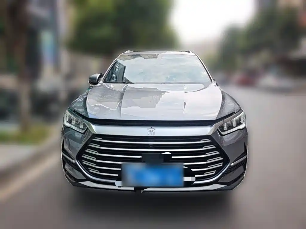 BYD Pro — миниатюра 2