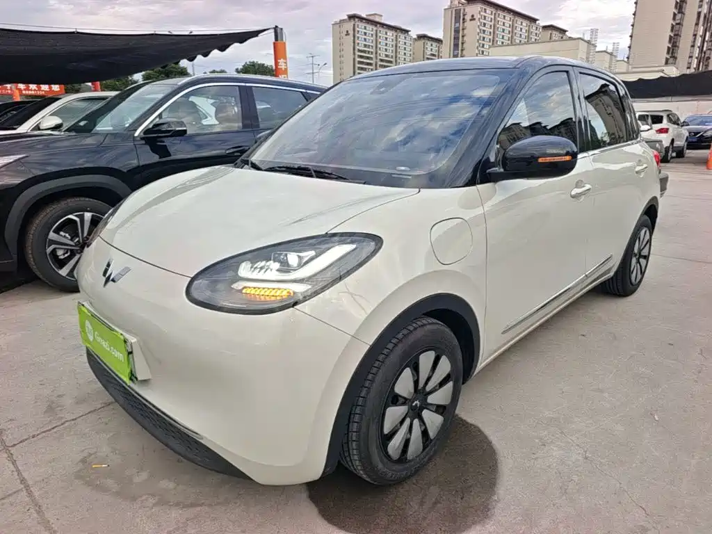 Wuling Bingo
