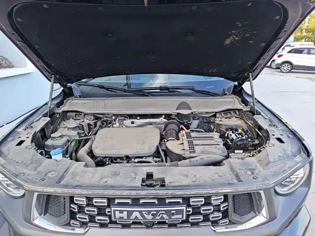 Haval Big Dog PLUS New Energy — миниатюра 20