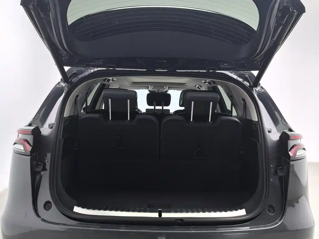BYD Tang New Energy — миниатюра 16