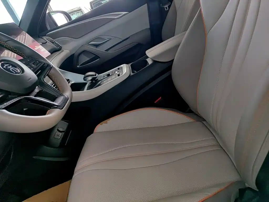BYD Pro New Energy — миниатюра 15