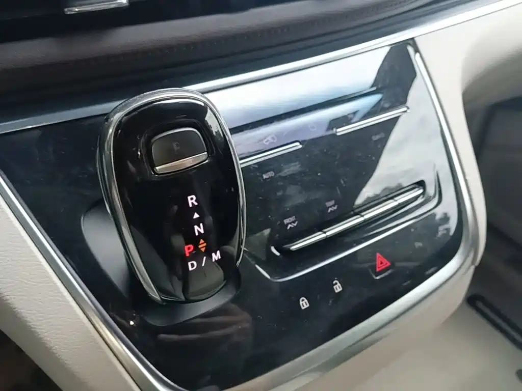 Buick GL8 — миниатюра 10