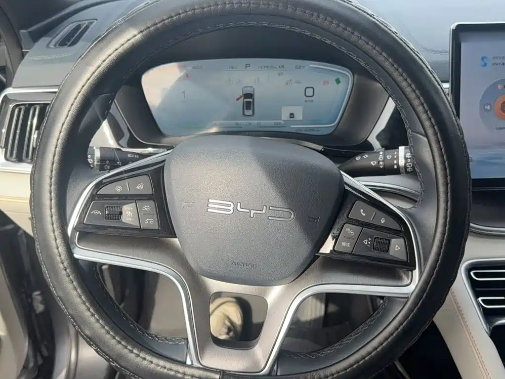 BYD PLUS New Energy — миниатюра 4