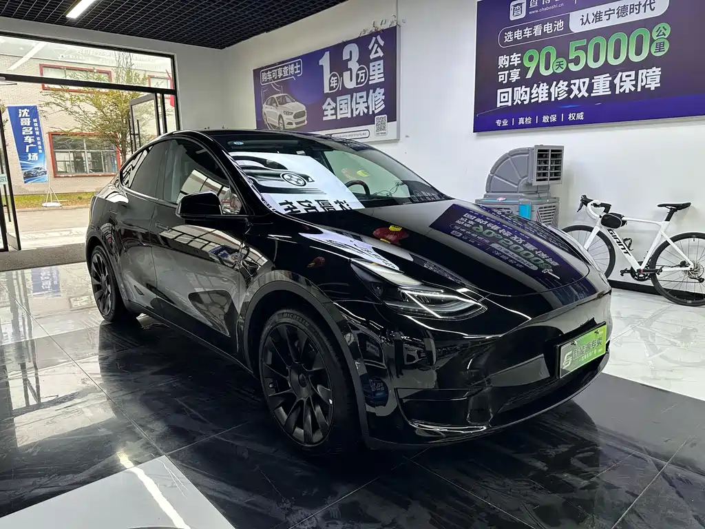 Tesla Model Y — миниатюра 3