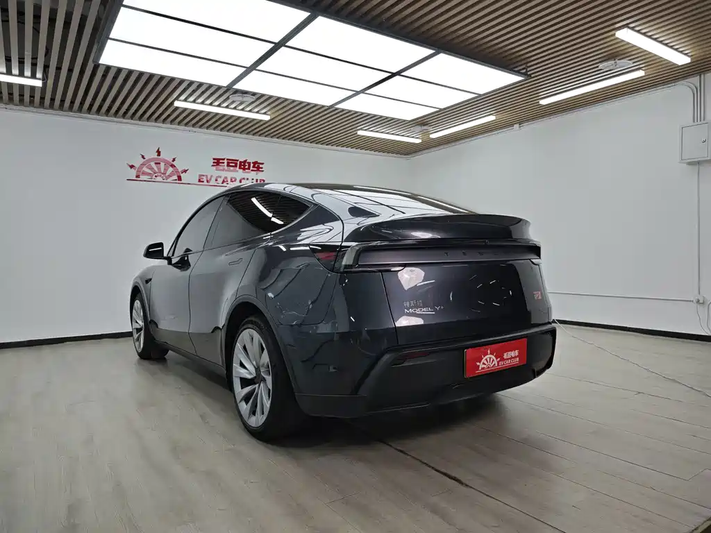 Tesla Model Y — миниатюра 5