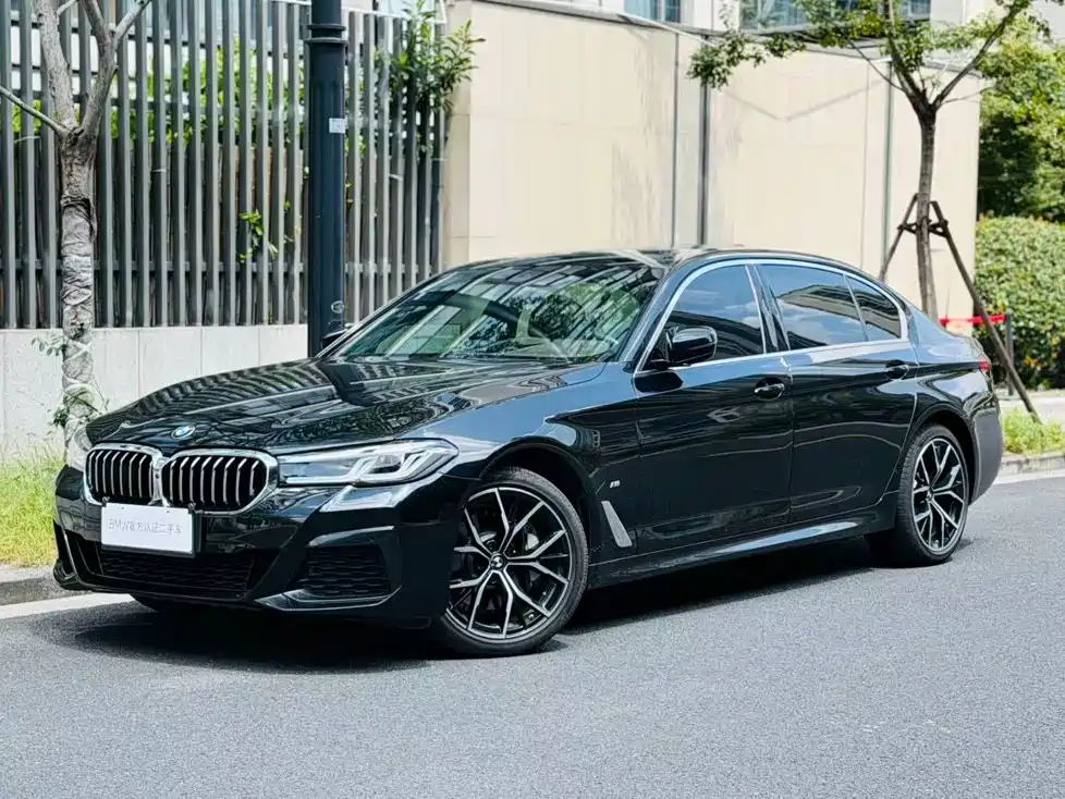 BMW 5 Series — миниатюра 4