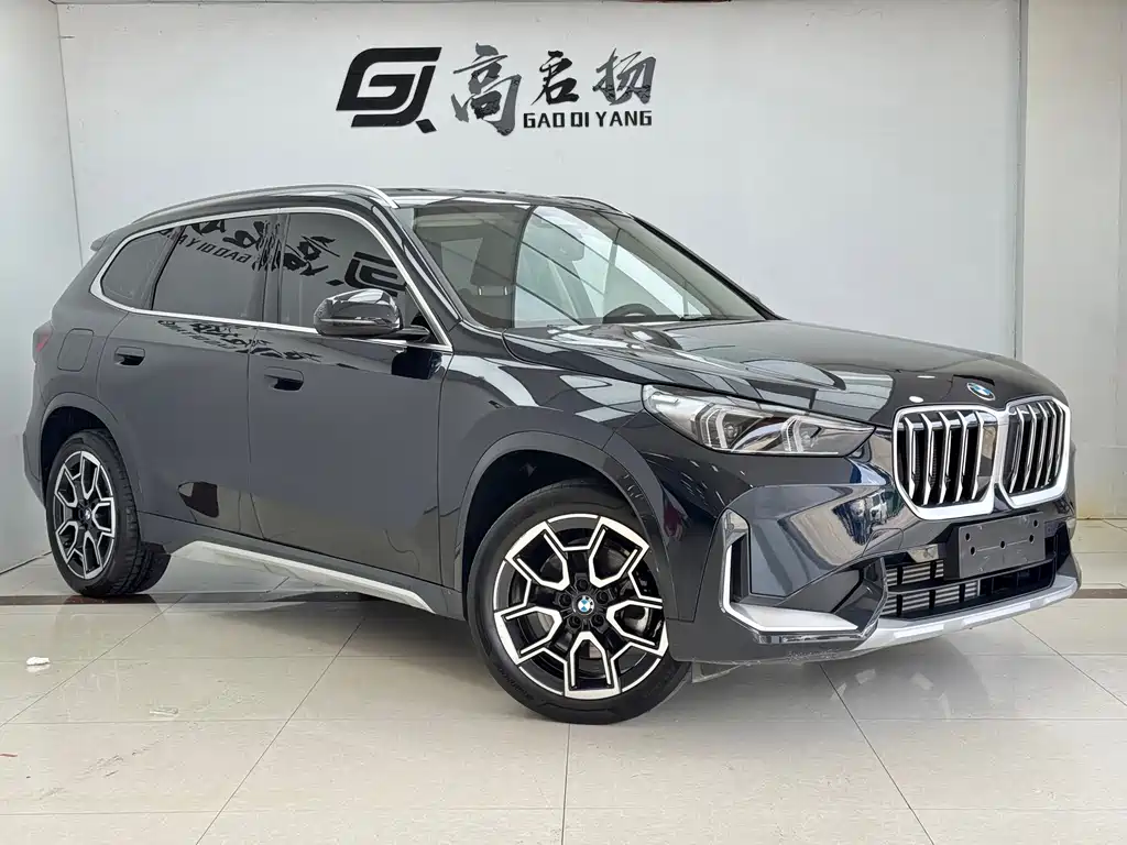 BMW X1 — миниатюра 3