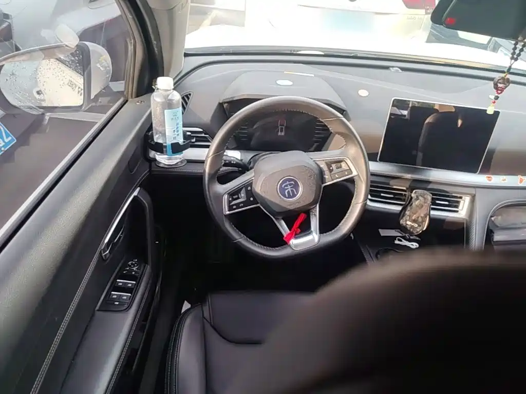 BYD Pro — миниатюра 15