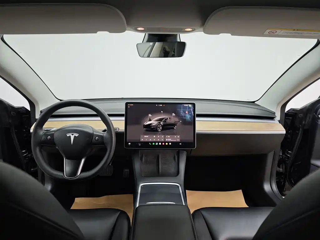 Tesla Model 3 — миниатюра 17