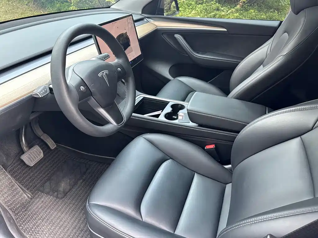 Tesla Model Y — миниатюра 10