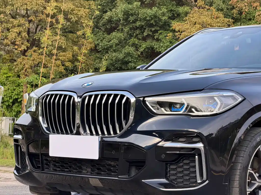 BMW X5 2022 xDrive 40Li M Sport
