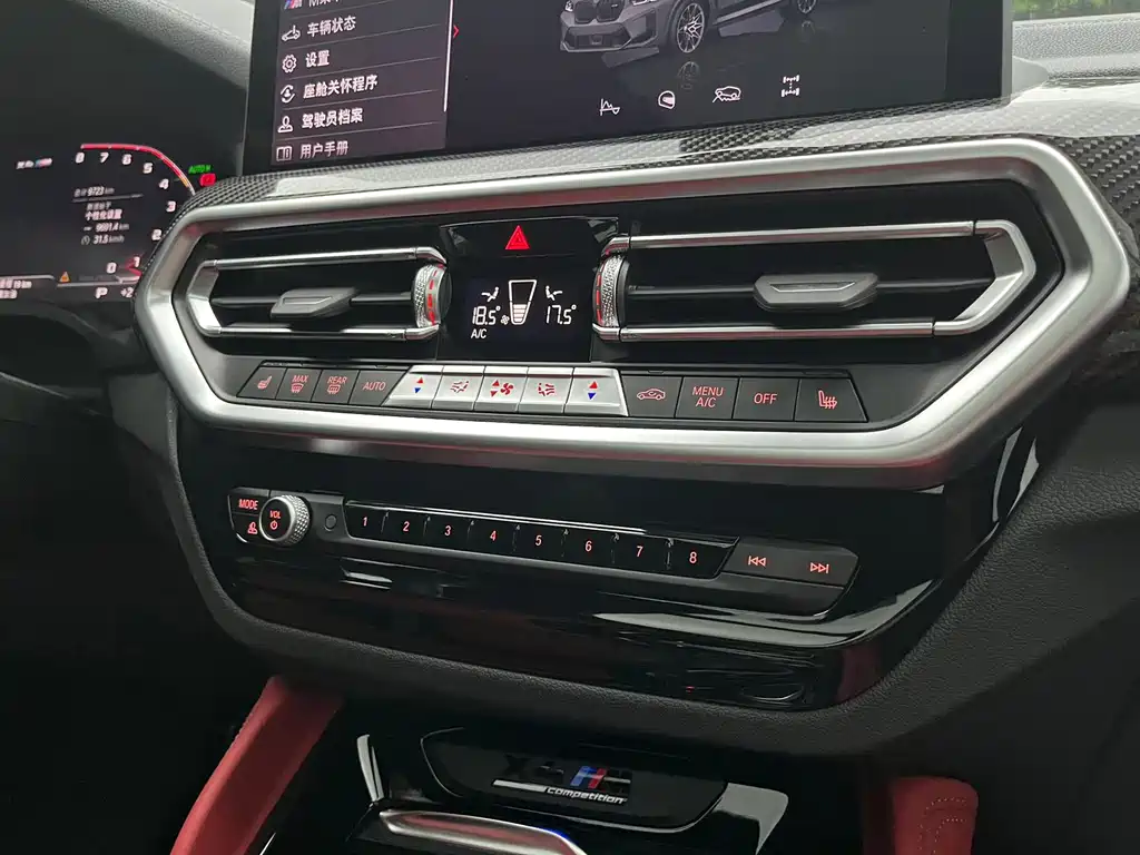 BMW X4 M X4 M Thunder Edition, фото 10