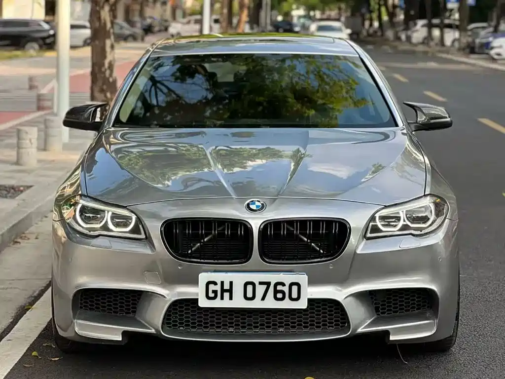 BMW 5 Series — миниатюра 2