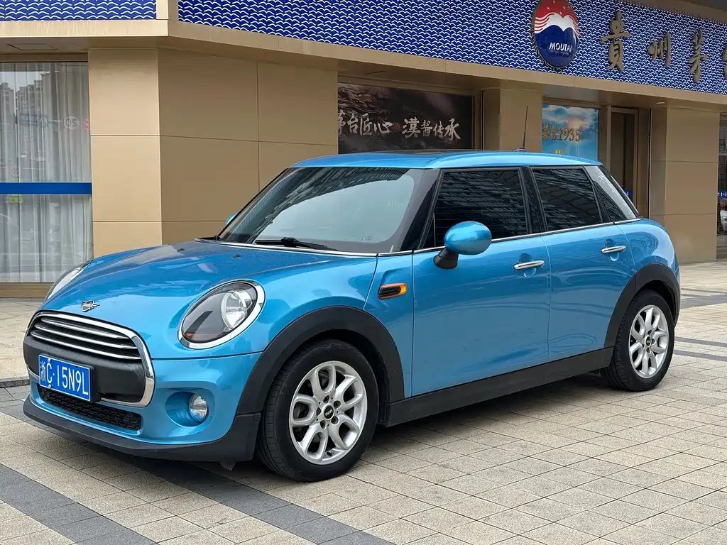 Mini Mini 2018
