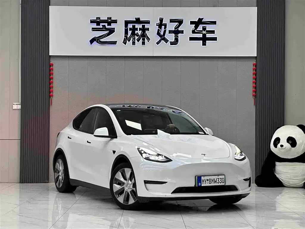 Tesla Model Y — миниатюра 3