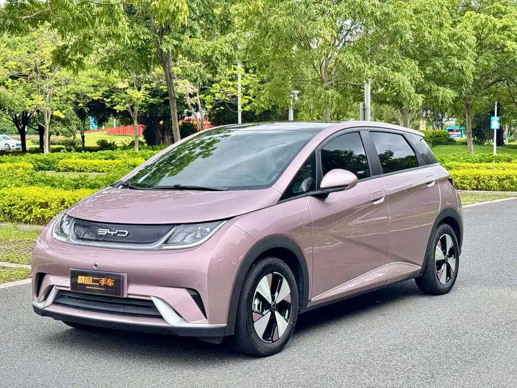 BYD Dolphin