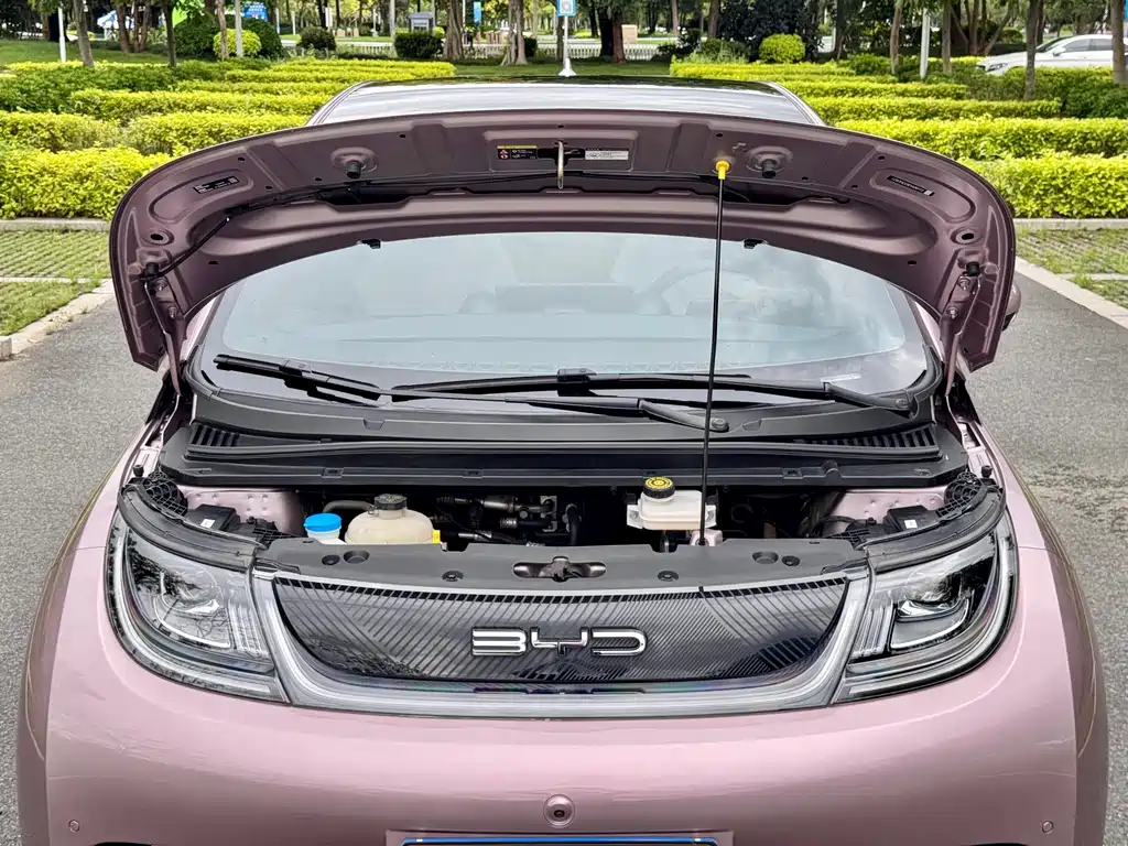 BYD Dolphin — миниатюра 25