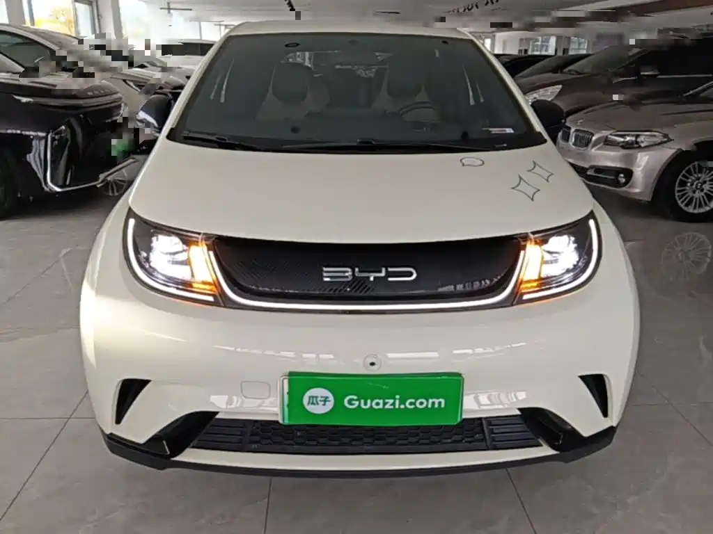 BYD Dolphin — миниатюра 3