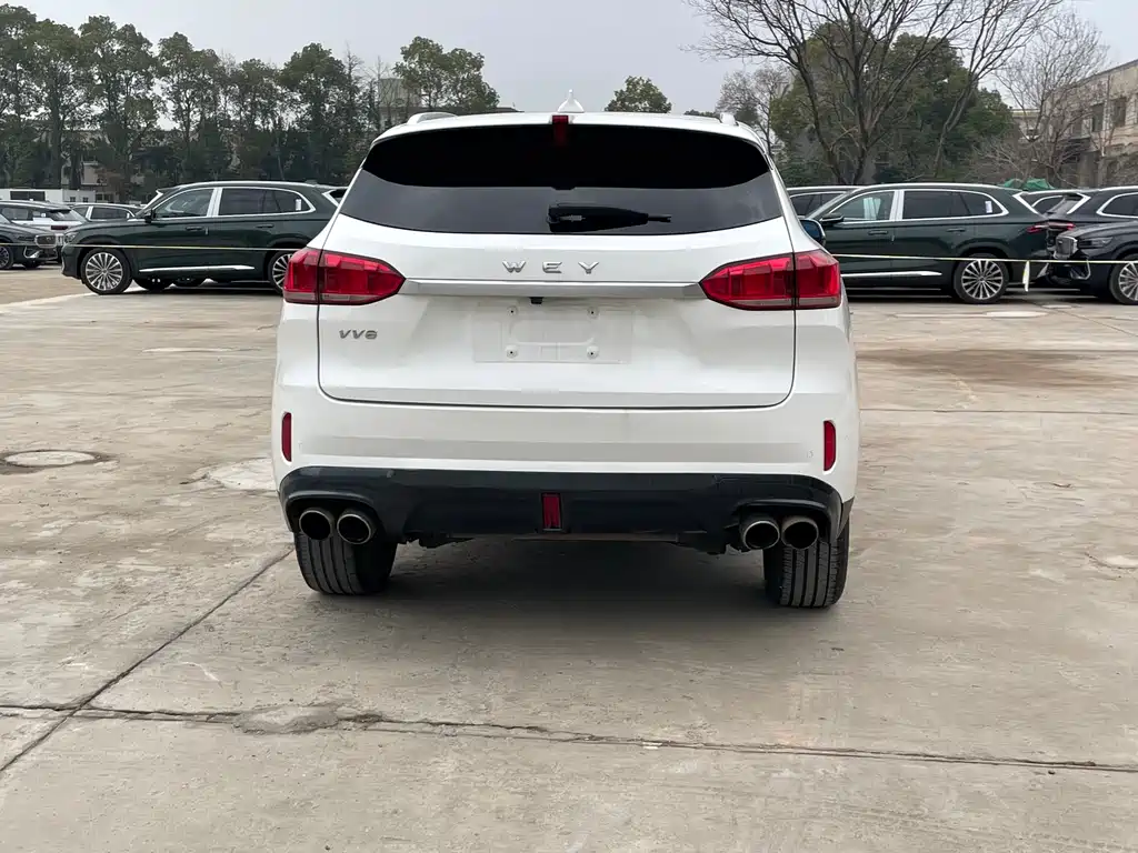 WEI PAI WEI BRAND VV6