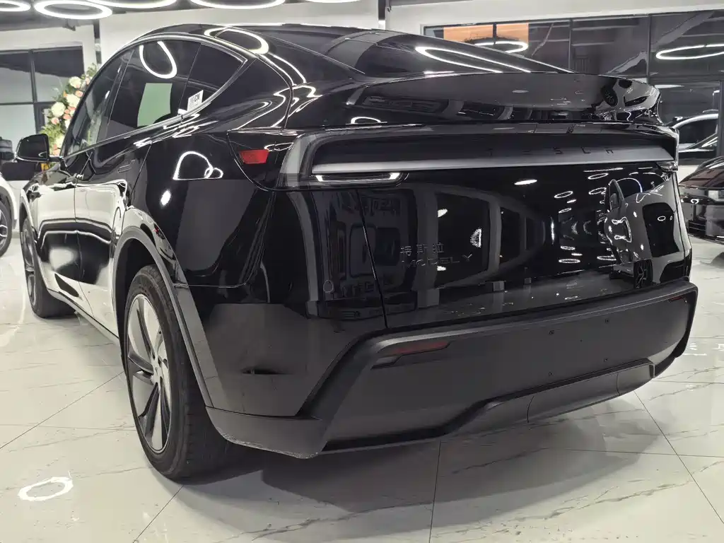 Tesla Model Y — миниатюра 5