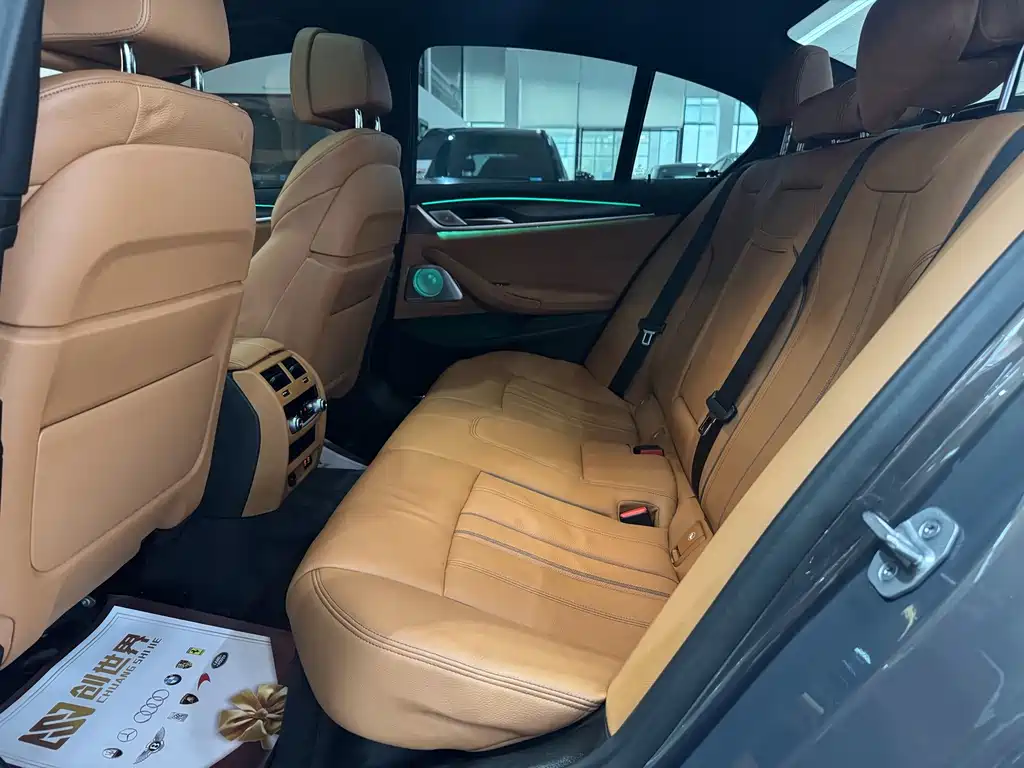 BMW 5 Series (Import) — миниатюра 9